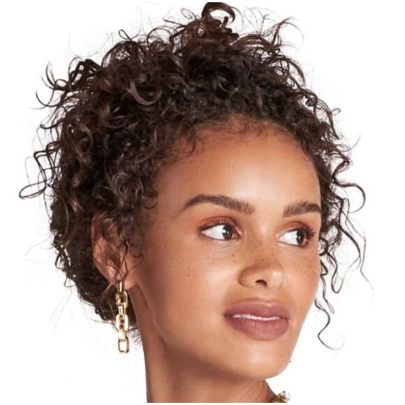 NWT Eddie Borgo Supra Chain Link Earrings - Picture 1 of 8